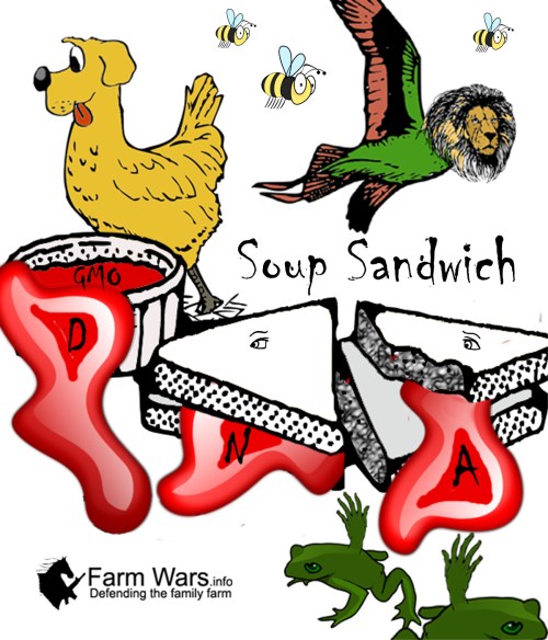 soup sandwich copy