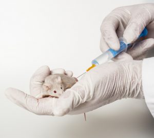 vaccine animal cells mouse DNA