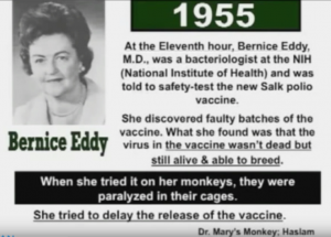Cause of cancer bernice eddy dr mary monkey