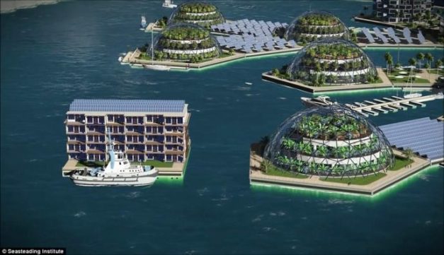 Paypal Founder Builds World’s First Floating Nation To ‘Liberate Humanity From Politicians S-5-e1510870470856