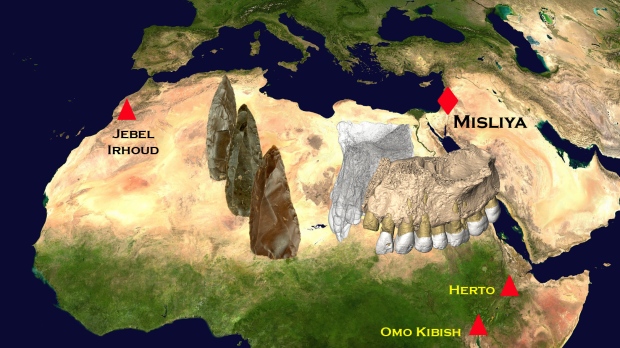 Fossil map