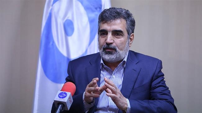 Behrouz Kamalvandi, the spokesman for the Atomic Energy Organization of Iran (Photo by YJC) 